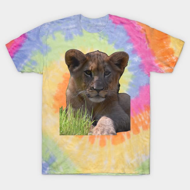 African Lion cub T-Shirt by Sharonzoolady